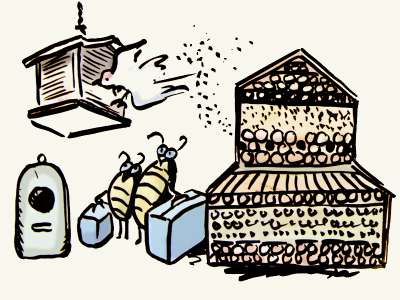 Nisthilfen für Wespen