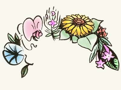Alle Sommerblumen