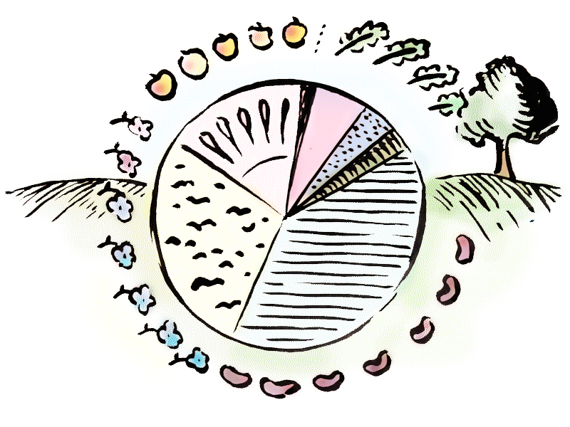 Die Alte Sorten in Zahlen