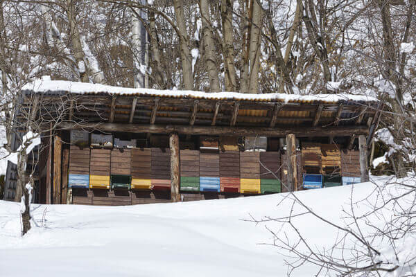 Bienenhaus von Honigbienen im Winter