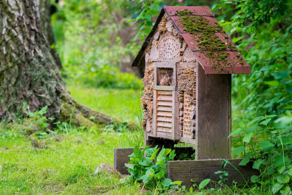 Bienenhotel im Wald