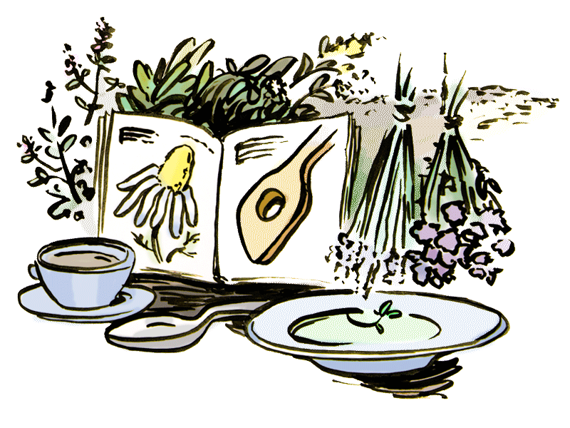 Bücher über Kräuter- und Heilpflanzen