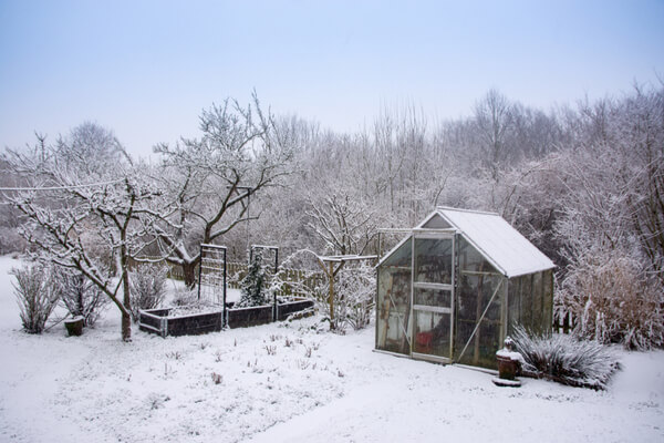 Gewächshaus im Winter