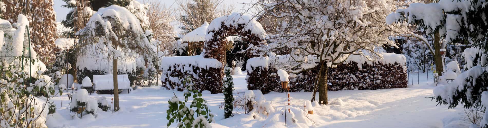 Gartenarbeiten im Dezember