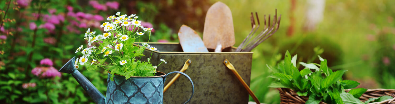 Gartenarbeit im Juli