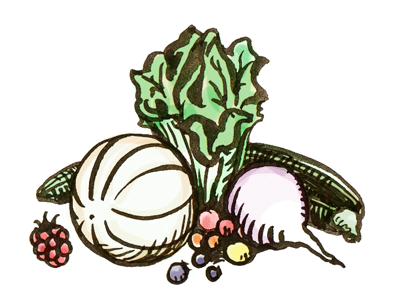 kalender Gemüse, Früchte & Grünes