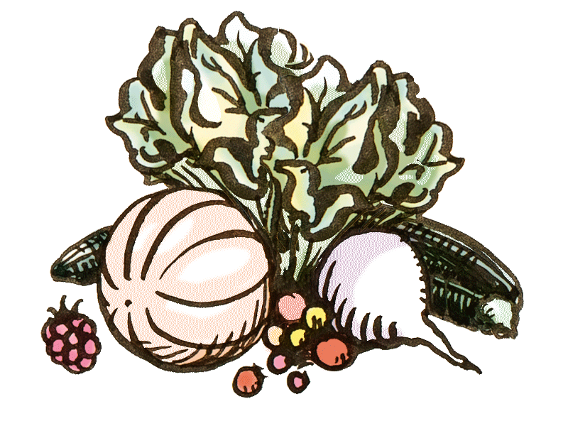 Mischkultur für Gemüse, Früchte & Grünes