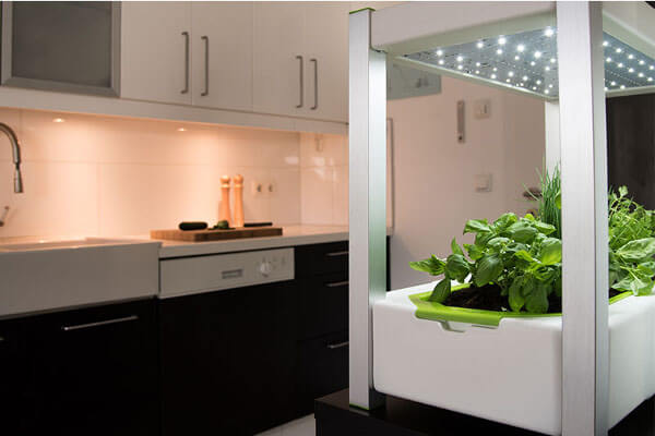 Green Unit 2.0 in der Küche