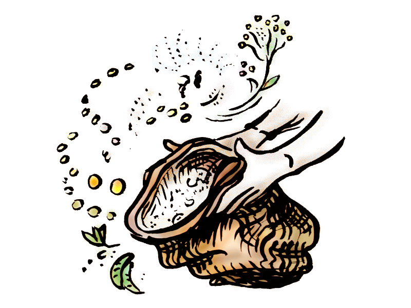 Illustration Beutel mit Samen & Saatgut