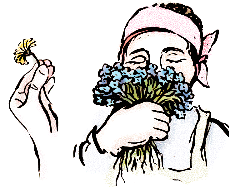 Blütekalender