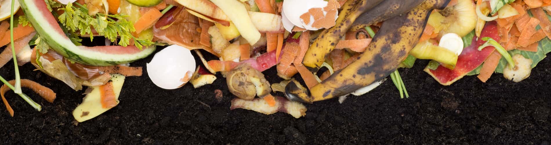 Kompost selbst anlegen: drauf sollten Sie achten