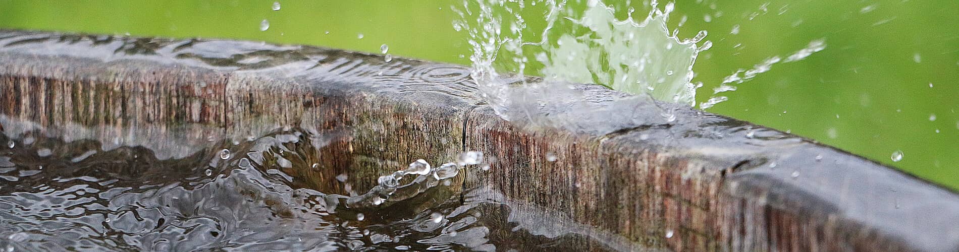 Mit Regenwasser giessen hat viele Vorteile