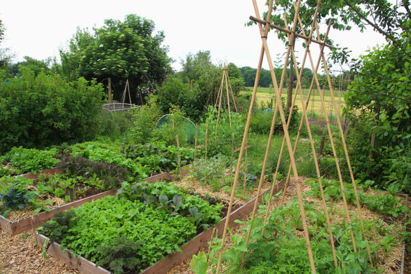 Permakultur im Garten