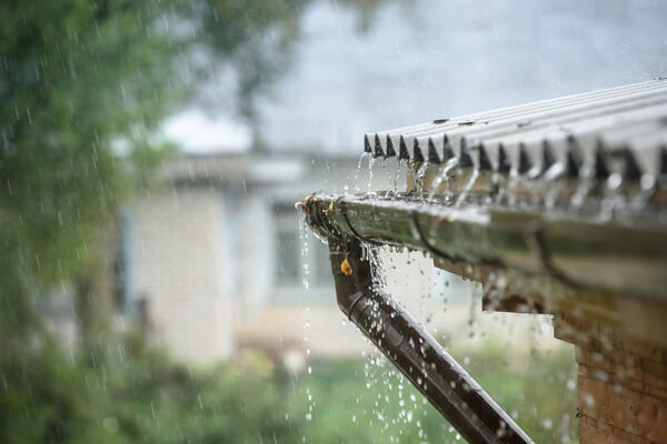 Regenwasser vom Dach sammeln