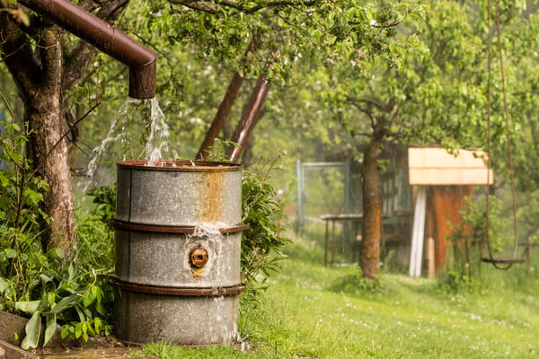 Regenwasser im Fass sammeln