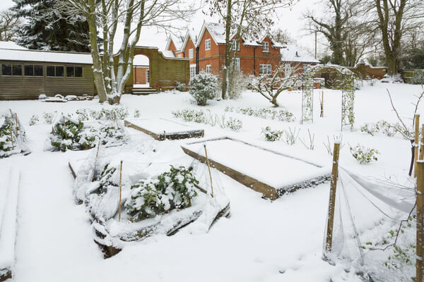 Schneedecke im Garten