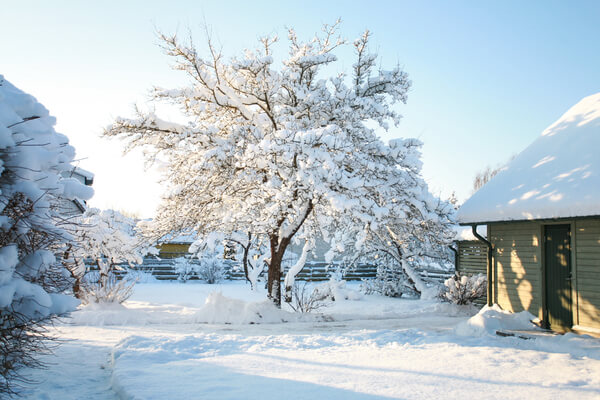 Schneedecke im Garten