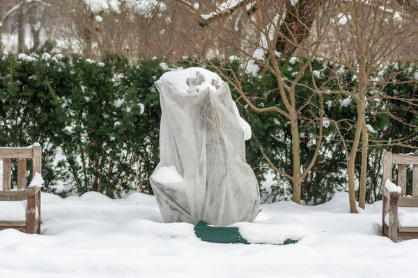 Schneedecke im Garten