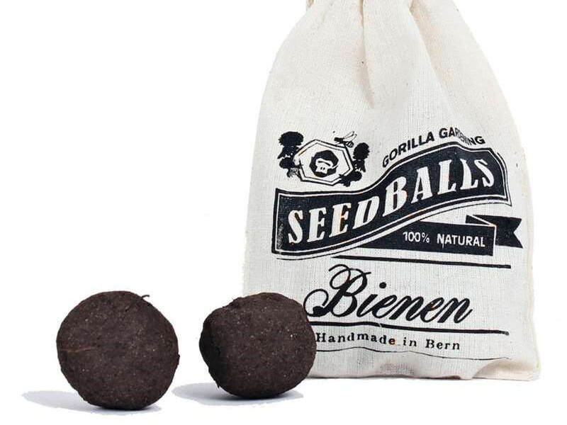 Seedballs Bienen