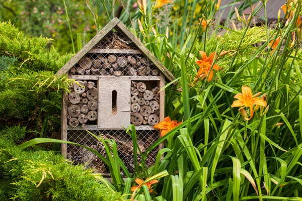 Insektenhotel