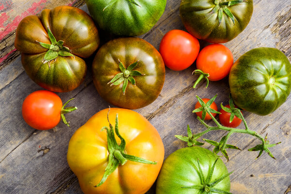 Tomatenvielfalt in Farbe in Form