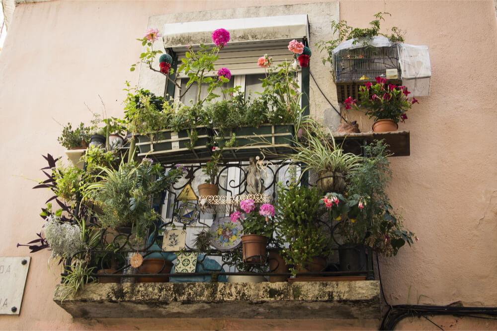 Balkon gefüllt mit Pflanzen in Töpfen