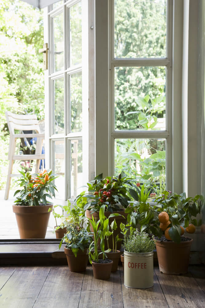 Indoor Topfgarten