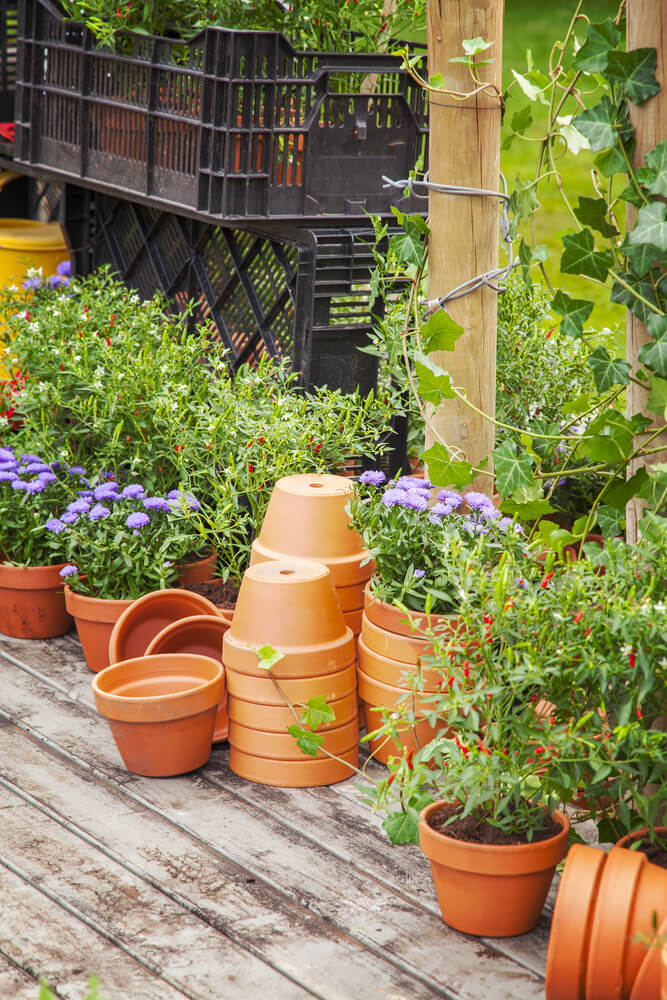 Topfgarten auf Holzboden