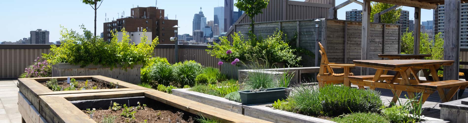 Urban Gardening - Gärtnern in der Stadt