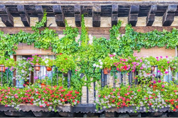 Urban Gardening