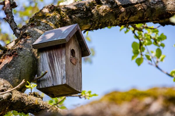 Vogelfreundlicher Garten Vogelnistkasten