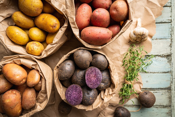 Kartoffeln im eigenen Garten &ndash; Anzucht, Ernte und Lagerung