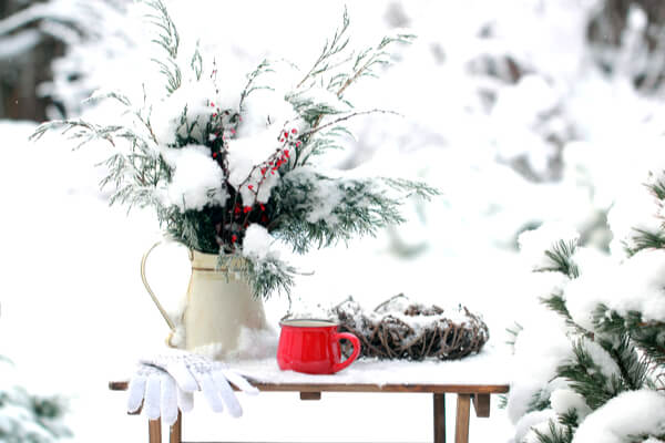 Gartenarbeiten und Gartenpflege im Januar