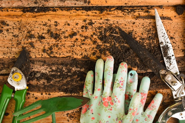 Gartenarbeiten und Gartenpflege im März