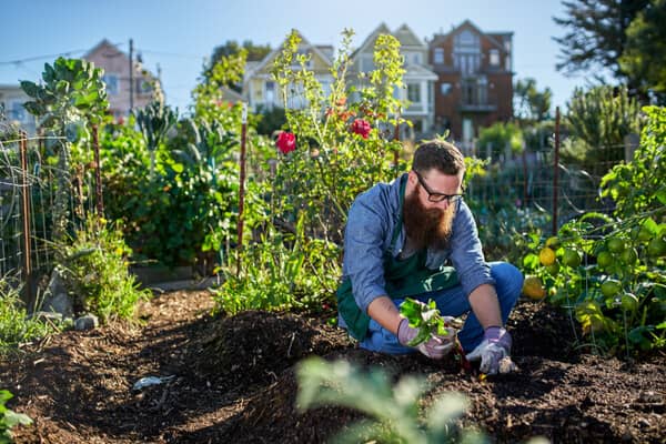 Urban Gardening - Gärtnern in der Stadt