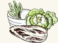  Salat ist eine beliebte Kulturpflanze und kann...