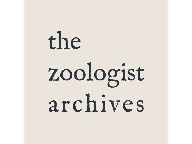 The Zoologist Archives