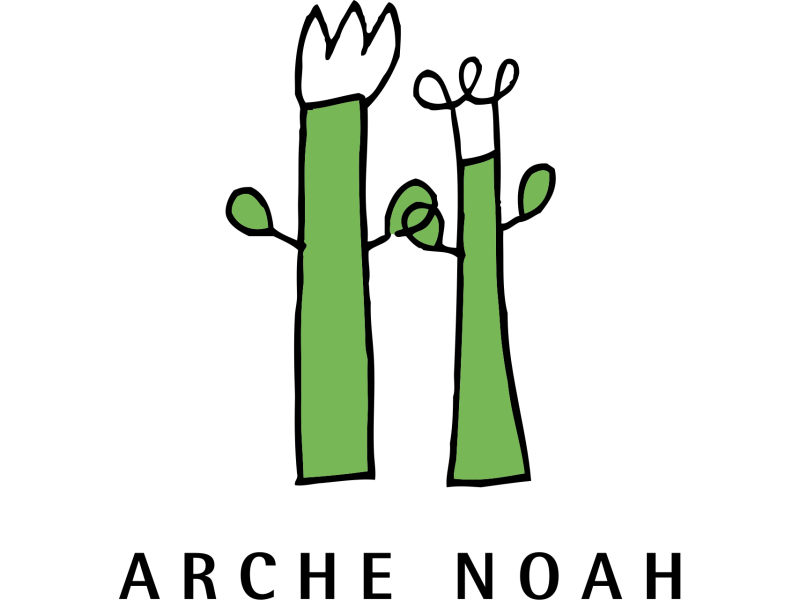 Arche Noah