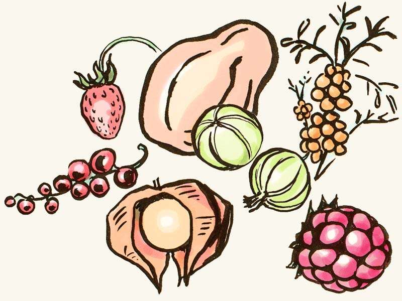 Petits fruits
