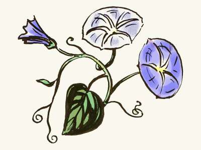 Illustration Winden