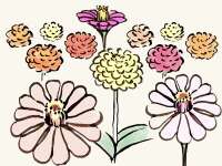 	 
		Zinnien sind beliebte Sommer&shy;blumen,...