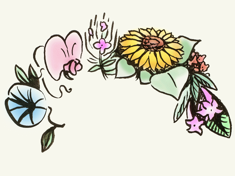 A bis D Sommerblumen