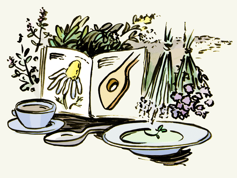 Kräuter & Heilpflanzen