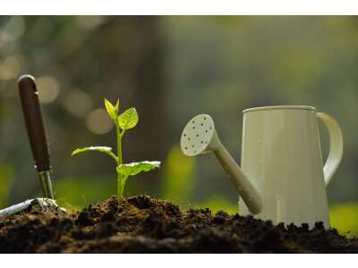 Es ist Zeit, mit der Gartenplanung zu beginnen! - Es ist Zeit, mit der Gartenplanung zu beginnen!