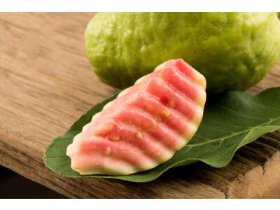 Guave: Myrten&shy;gewächs mit köstlichen Früchten