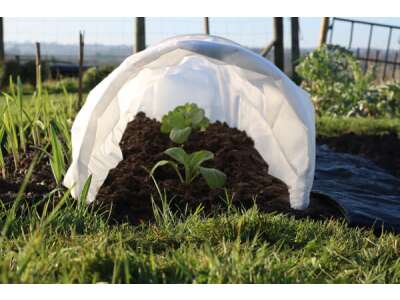 Schutz der Gemüse&amp;shy;jung&amp;shy;pflanzen vor Schäd&amp;shy;lingen mit Netzen &amp;amp; Vlies