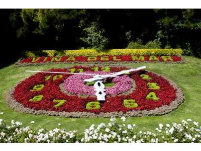 Linné et l\'horloge florale : le fascinant biorythme de nos plantes