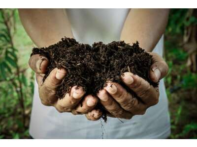 Kompost um&amp;shy;setzen im Früh&amp;shy;ling: wert&amp;shy;volle Erde für Ihre Pflan&amp;shy;zen
