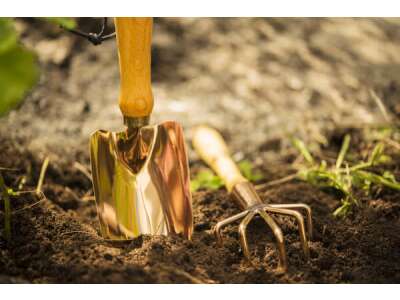 Werk&amp;amp;shy;zeuge aus Kupfer: Das steckt hinter der «neuen Bronze&amp;amp;shy;zeit» im Garten&amp;amp;shy;bau - Werkzeuge aus Kupfer: Vorteile von Kupfer im Garten