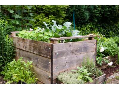 Vor- &amp;amp; Nachteile vom Hochbeet, Hügelbeet gegenüber einem normalen Gartenbeet - Vor- &amp;amp; Nachteile vom Hochbeet, Hügelbeet vs. Gartenbeet